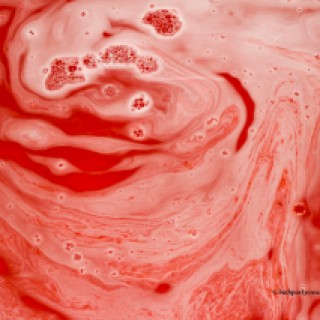 the vamp bath close up pic